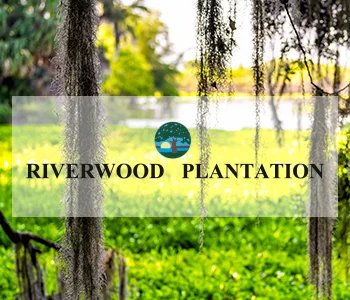 Riverwood Plantation Web Design